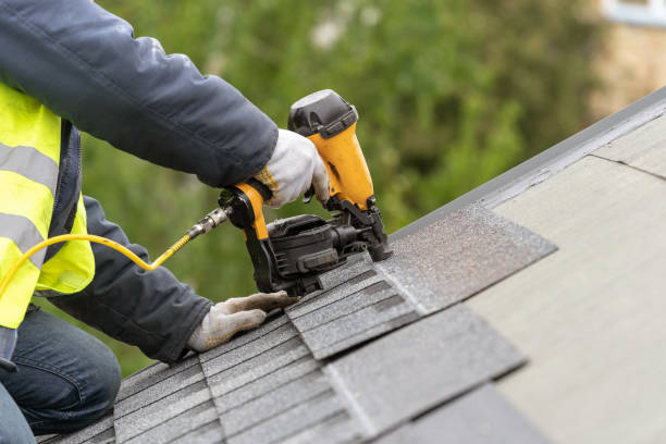 Best Roof Maintenance and Cleaning  in Croswell, MI