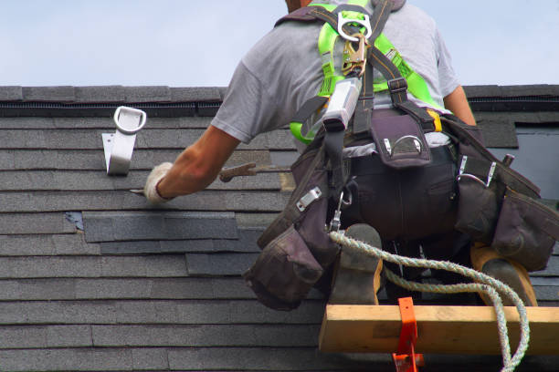 Best Roof Coating and Sealing  in Croswell, MI