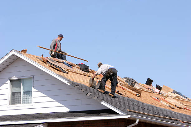 Best Roofing for New Construction  in Croswell, MI